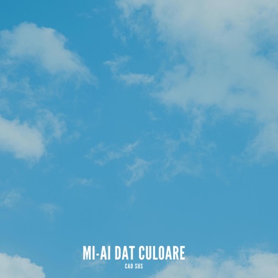 MI-AI DAT CULOARE - Single
