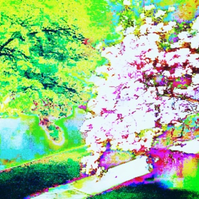 desperdicio de amor¿