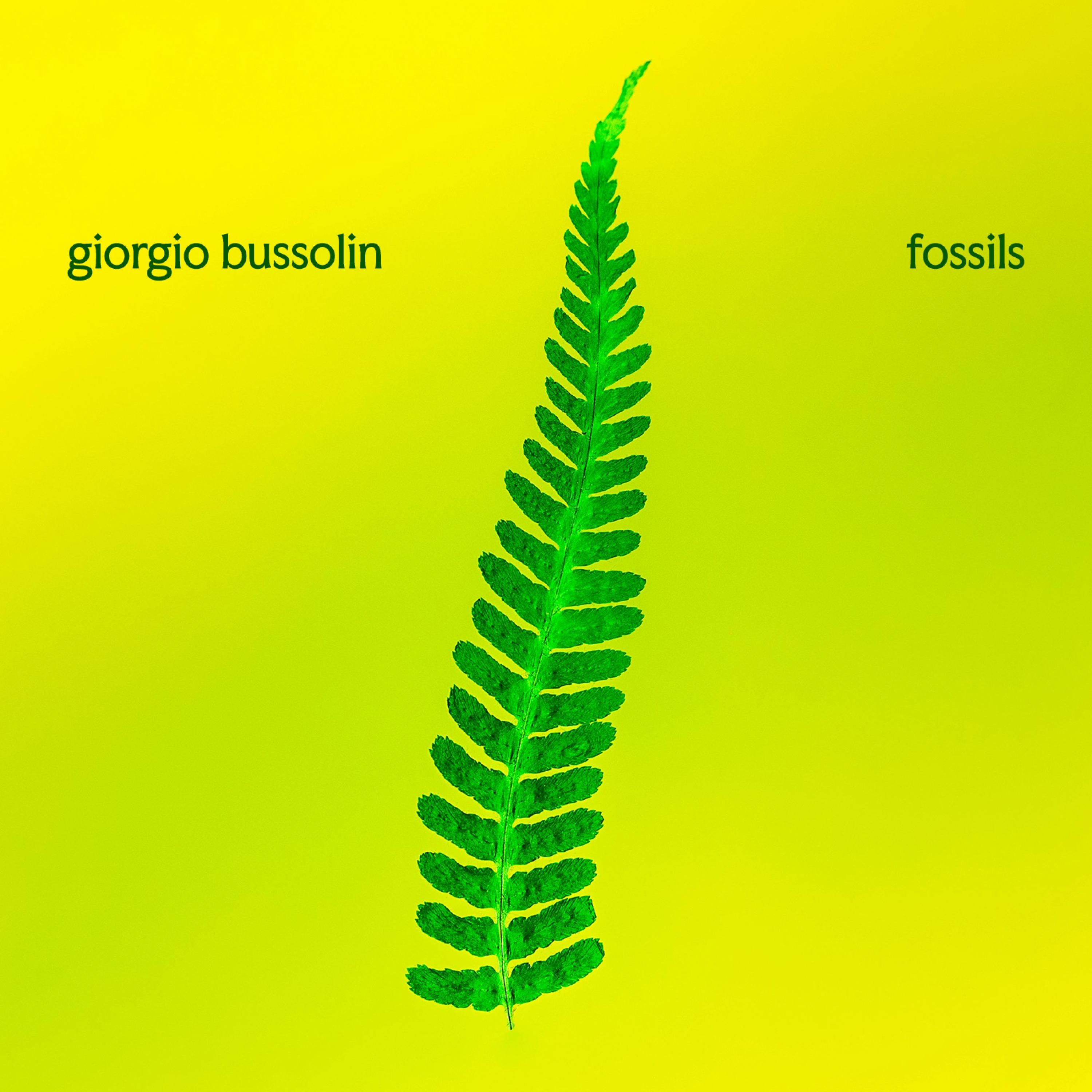 Fossils