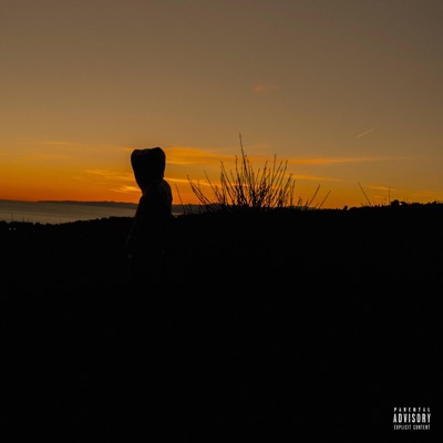 Non ci sono + - Single