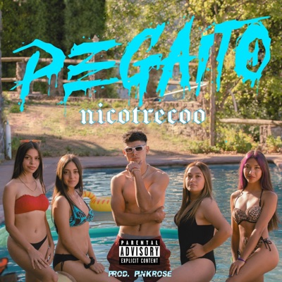 PEGAITO - Single