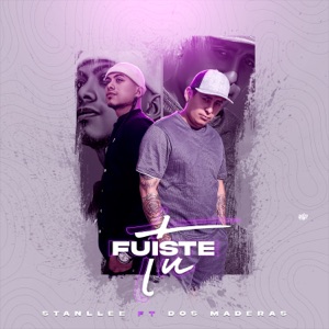 Fuiste Tú (feat. Dos Maderas)