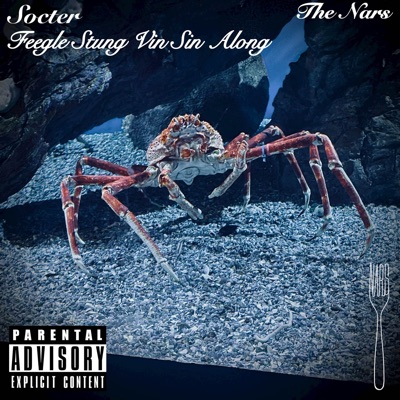 Soctor / Feegle Stung Vin Sin Along - Single