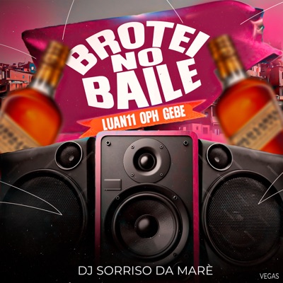 Brotei no Baile - Single