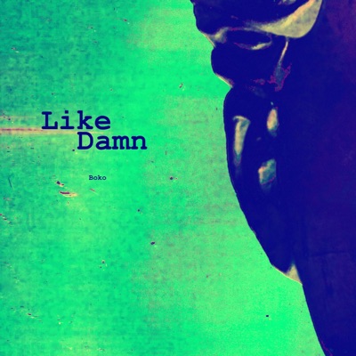 Like Damn - Single