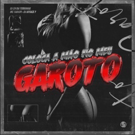 Coloca a Mão no Meu Garoto (Remix) Mc Tarapi, dj cn da terrinha & DJ jotace 7