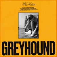 Greyhound - Single - Wild Harbors