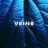 Veins