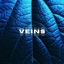 Veins - Single