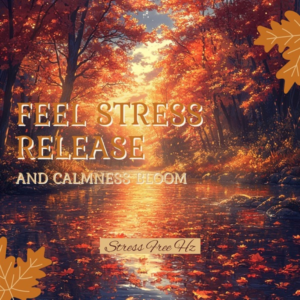 Feel Stress Release and Calmness Bloom