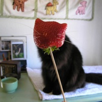 feel the same (feat. mental) - Single - Hini