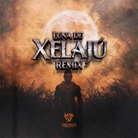 Luna de Xelajú Remix (Instrumental Mix) - Single - Trilogy
