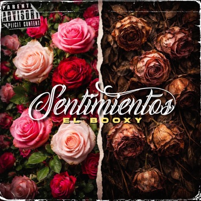 Sentimientos - EP