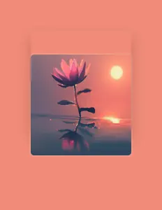 聆聽 Meditherapy、觀看音樂影片、閱讀小傳、查看巡演日期等！