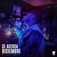 Se Acerca Diciembre - Single - El Gato Indio