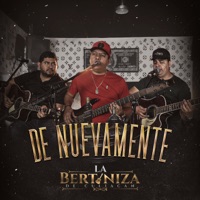 De Nuevamente - La Bertiniza De Culiacan