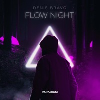 Flow Night - Single - Denis Bravo