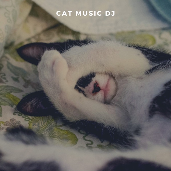 Sleep Aid For Cats