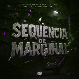 Sequência de Marginal (feat. Mc Gw & MC Lekão) DJ Rdzin7, Santos Nk & Dj pablynh da 017
