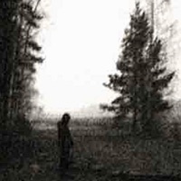 ardor *push u to tha sky* #angelwave - Single - hurtsucca