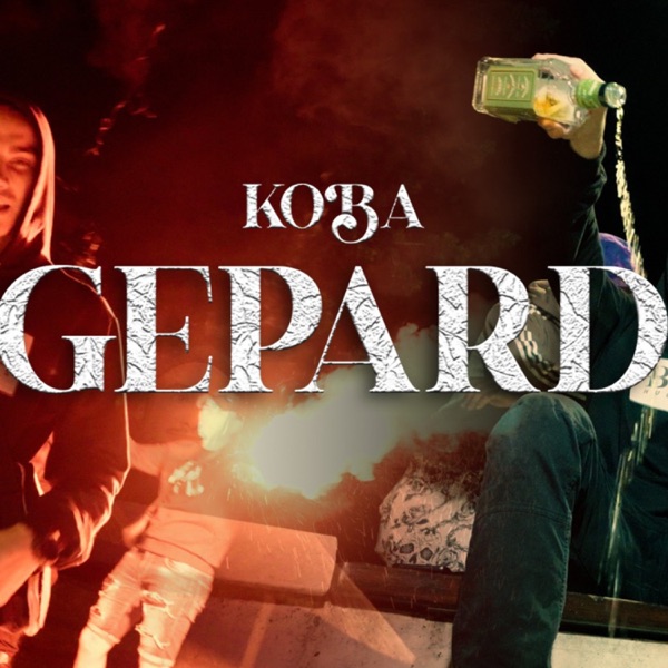 Gepard
