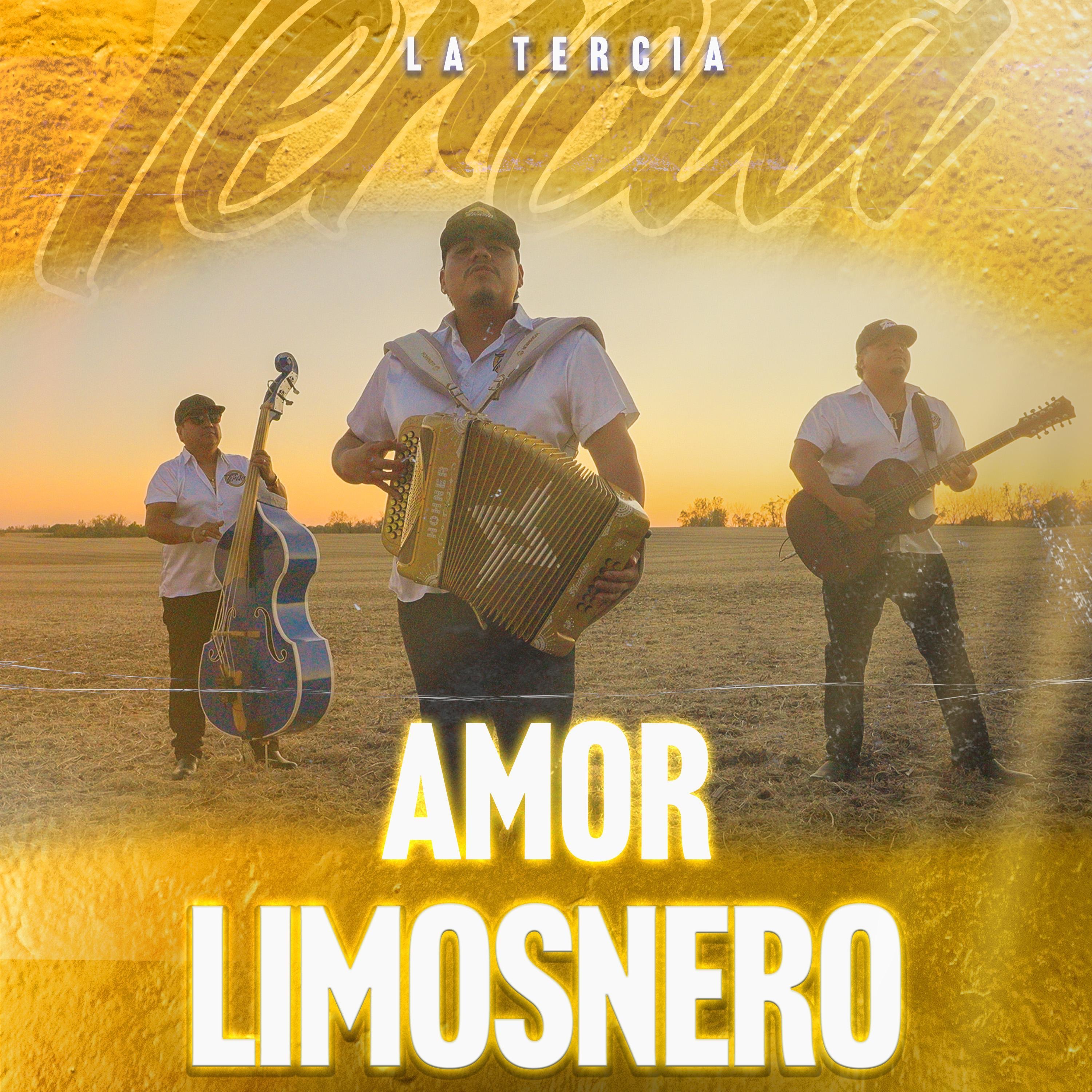 Amor Limosnero - Single