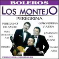los montejo