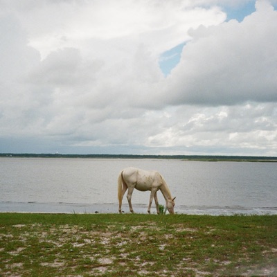 GUESS WHAT ? - Single