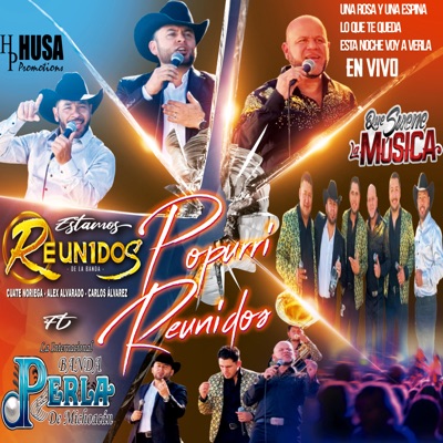 Popurri Reunidos: Una Rosa y Una Espina / Lo Que Te Queda / Esta Noche Voy a Verla (En Vivo) - Single