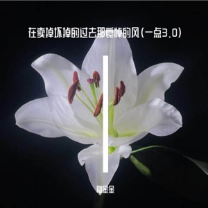 在卖掉坏掉的过去那哀悼的风 (一点3.0) - Single