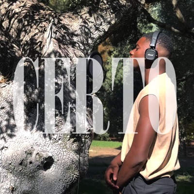 certo (feat. Venus) - Single