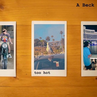 Too Hot - Single
