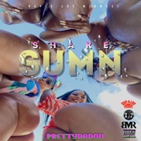 Shake Sumn - Single - Prettydadon