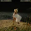 Hello Goodbye