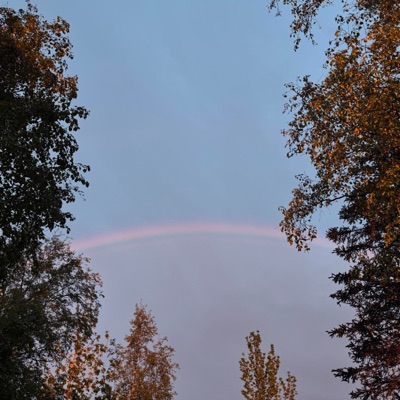 Timi Sangako Harek Pal - Single