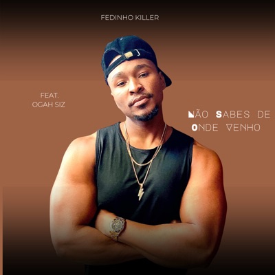 Não Sabes de Onde Venho (feat. Ogah Siz) - Single