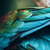 Namu - Single - Iyakuh