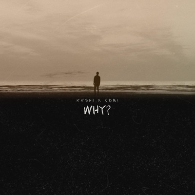 WHY? (feat. CDM!) - Single