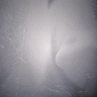 Under the Influence - Single - Never Bothered To Bloom & The Bunny The Bear