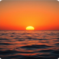 FiJi - Single - it's Cazz