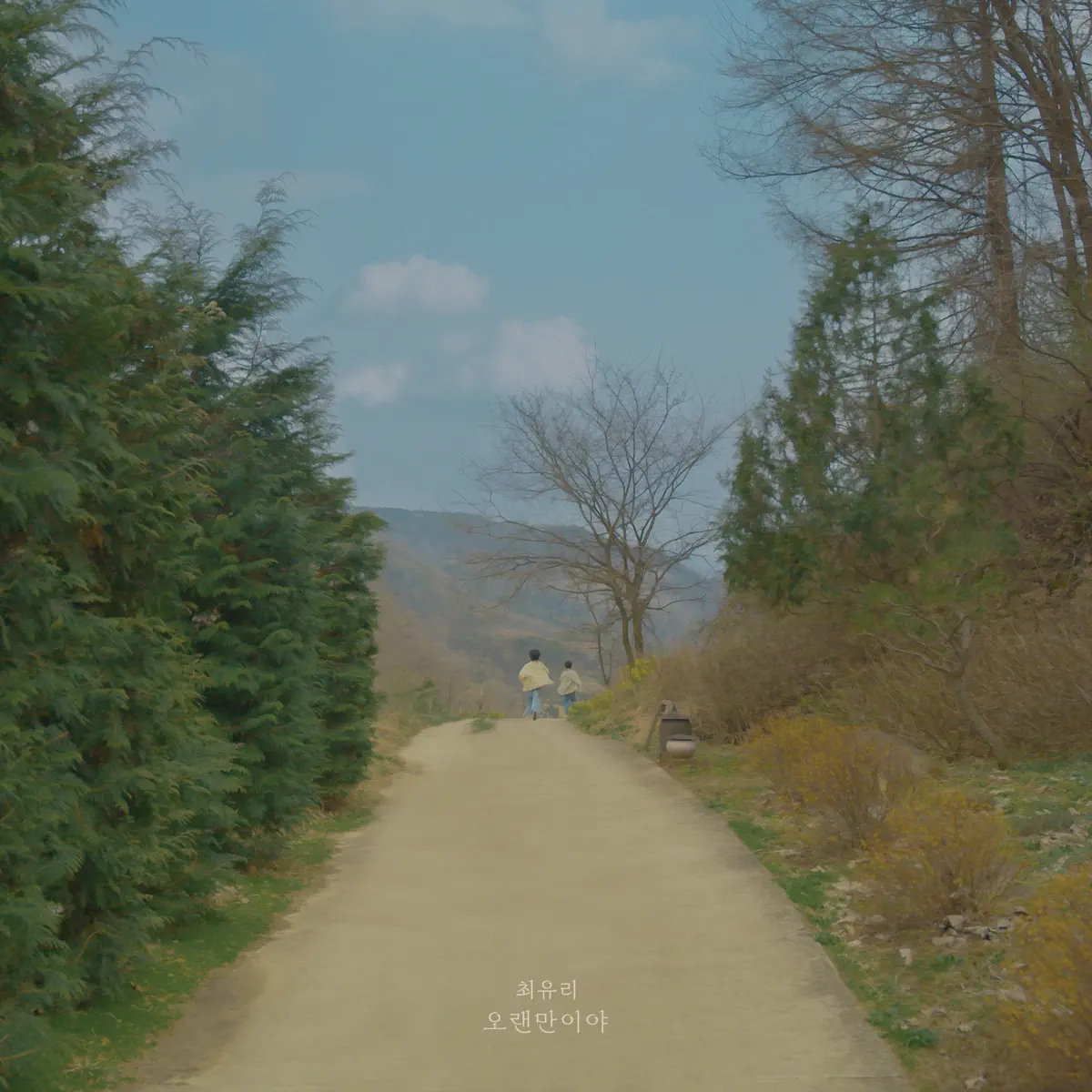 Choi Yu Ree - It's been a while - Single (2024) [iTunes Plus AAC M4A]-新房子