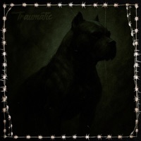 Traumatic - Single - Jay Cactus