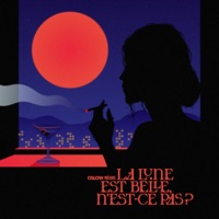 La Lune est belle, n'est ce pas ? - Oslow