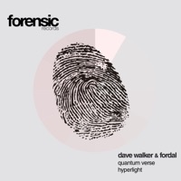 Quantum Verse - Single - Dave Walker & Fordal