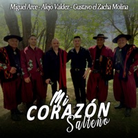 Mi Corazón Salteño - Single - Miguel Arce Violeros Del Folklore, Gustavo El Zacha Molina & Alejo Valdez