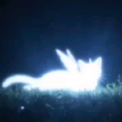 memory loop - Single