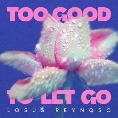 Too Good To Let Go - Single
