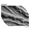 Dont Play 091 (Mzr / Edit) - Toru Ikemoto lyrics