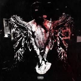 Подшарен whitek3d