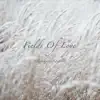 Fields Of Love